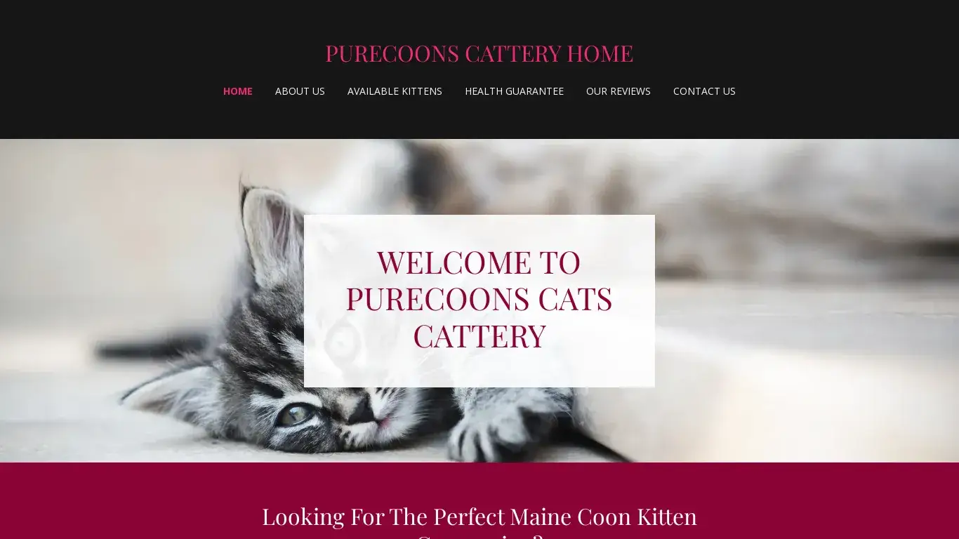 is purecoonscattery.com legit? screenshot