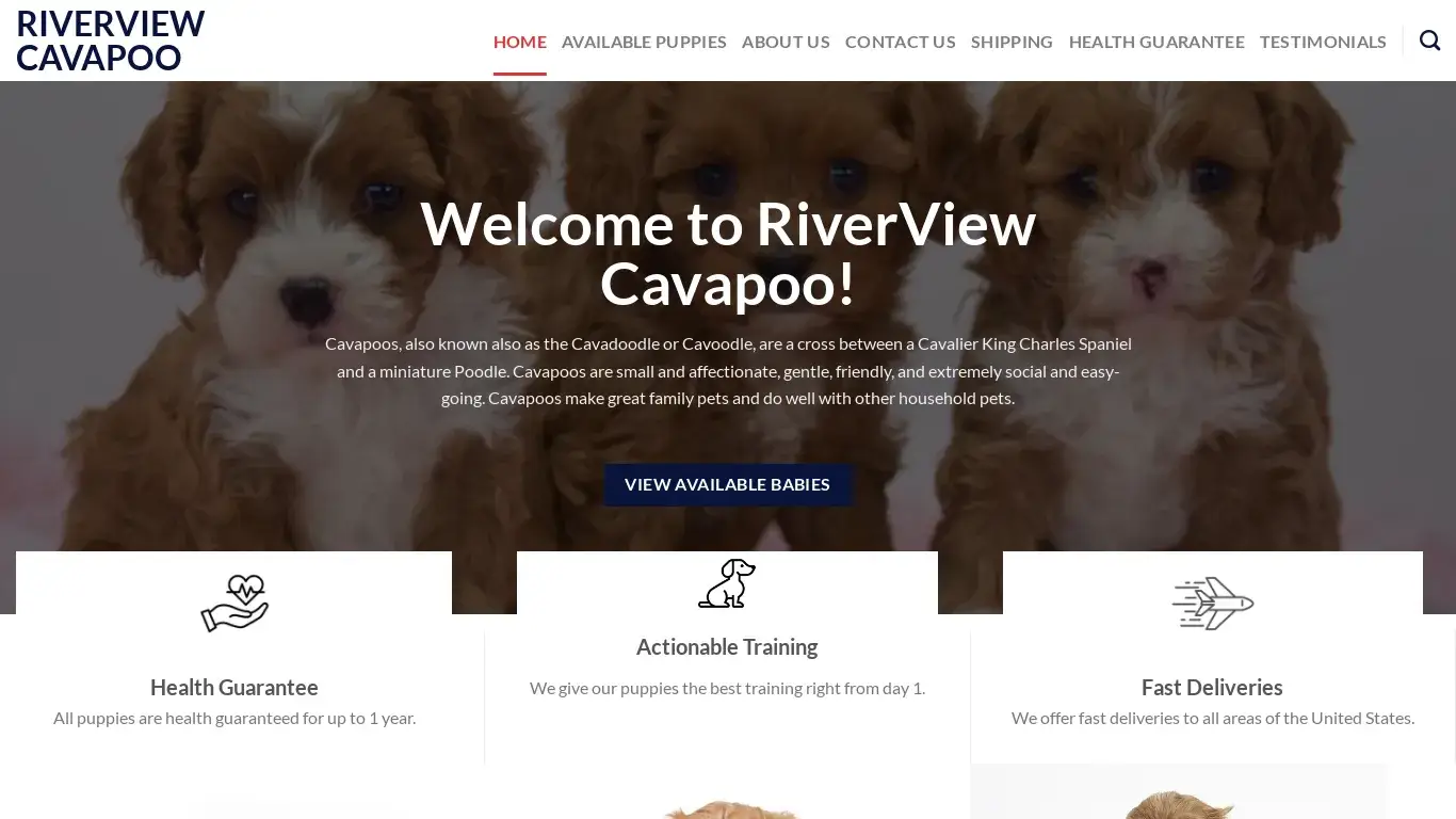 is riverviewcavapoo.com legit? screenshot