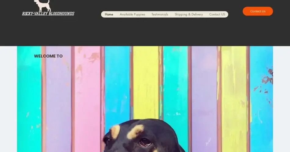 Is Rockyvalleybloodhounds.com legit?