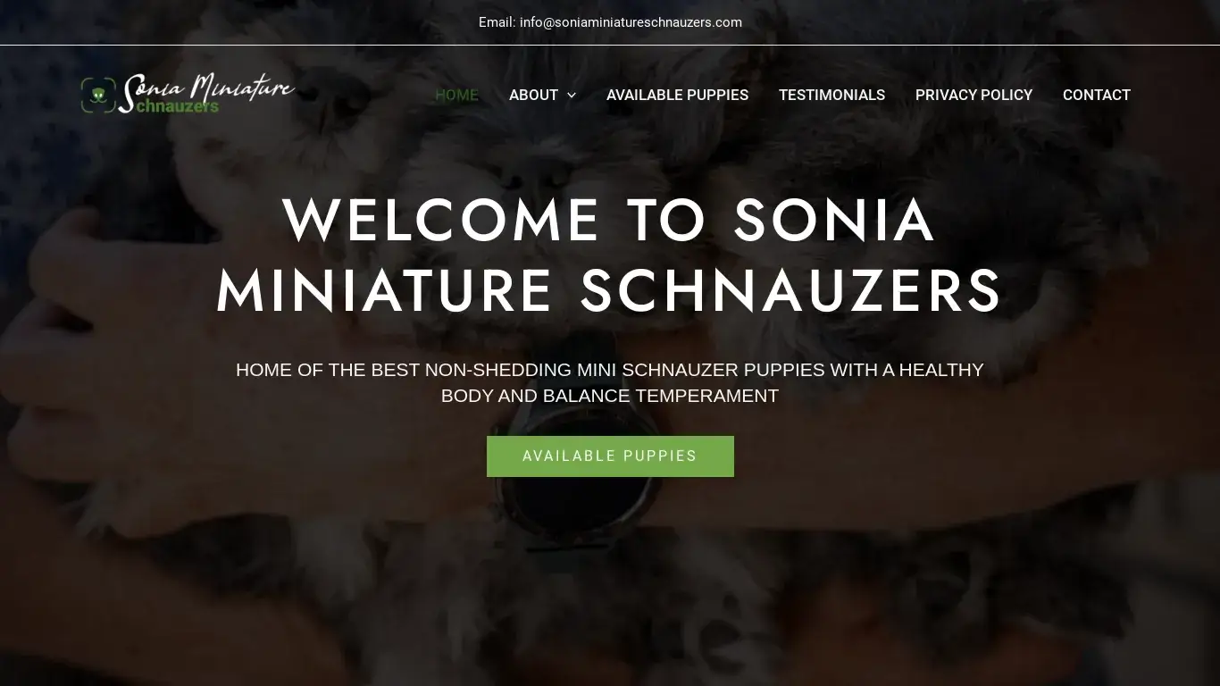 is soniaminiatureschnauzers.com legit? screenshot