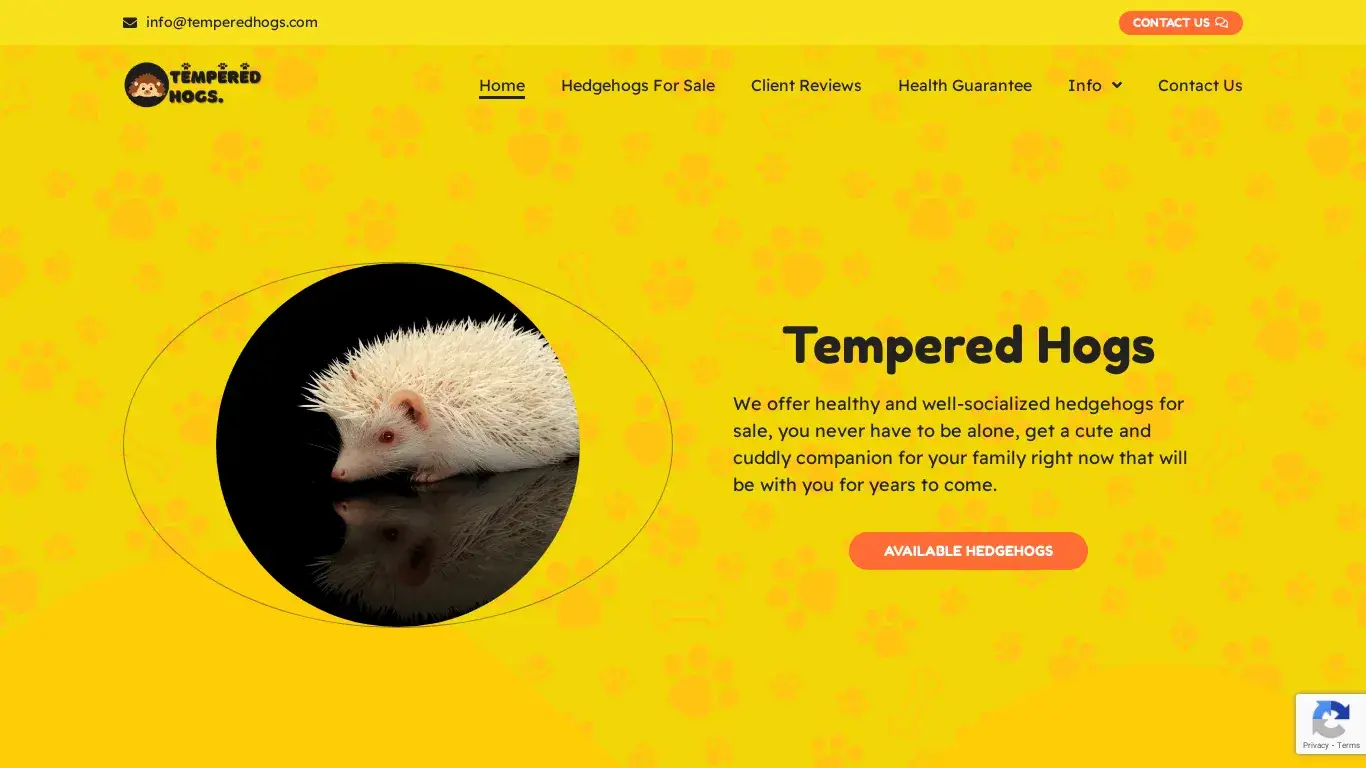 is temperedhogs.com legit? screenshot