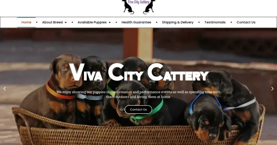 Is Vivacitycattery.com legit?