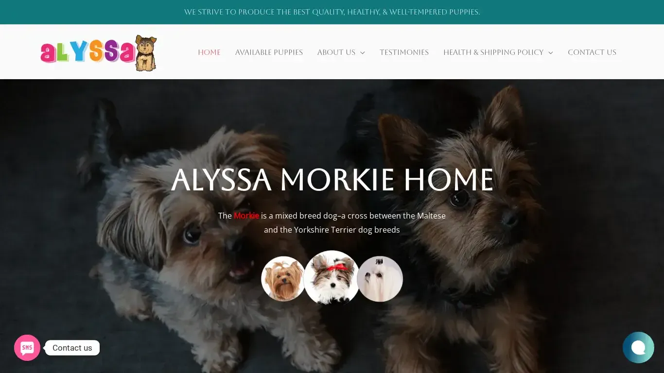 is Alyssa Morkie Home – The best place to get your beautiful Morkie puppies, 100% healthy kittens for sale online. legit? screenshot