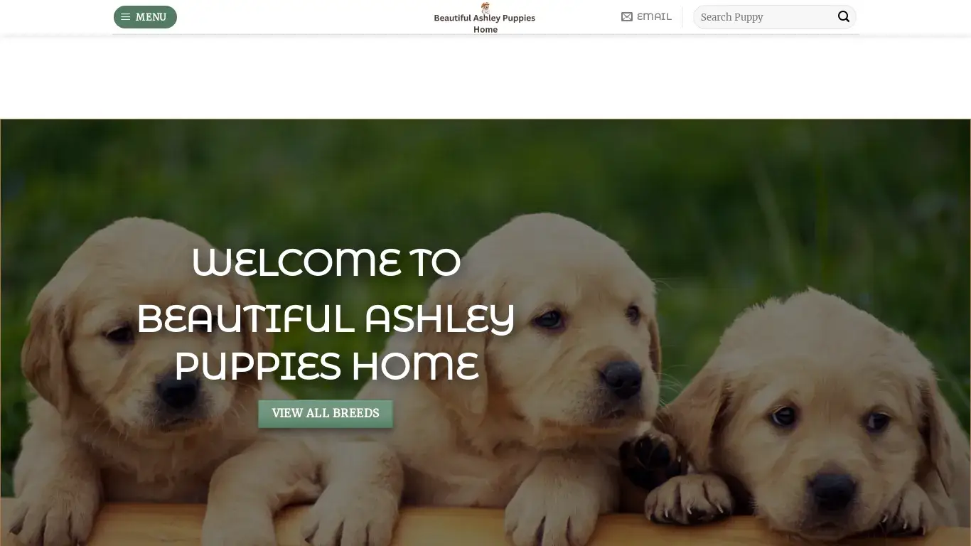 is Beautiful Ashley Puppies Home – Puppies For Sale legit? screenshot