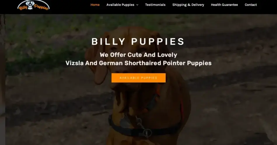 Is Billypuppies.com legit?