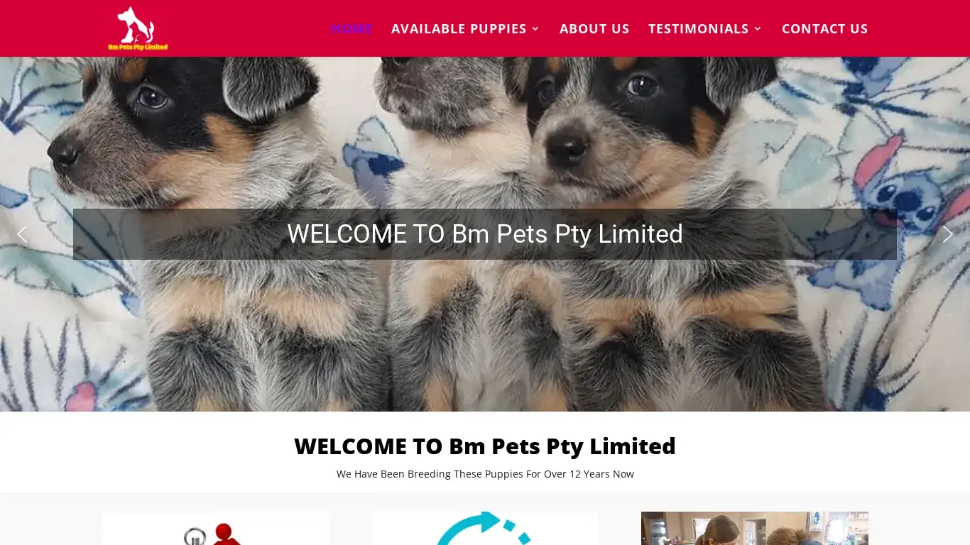 is Bm Pets Pty Limited | At quality Bm Pets Pty Limited for Sale near me legit? screenshot
