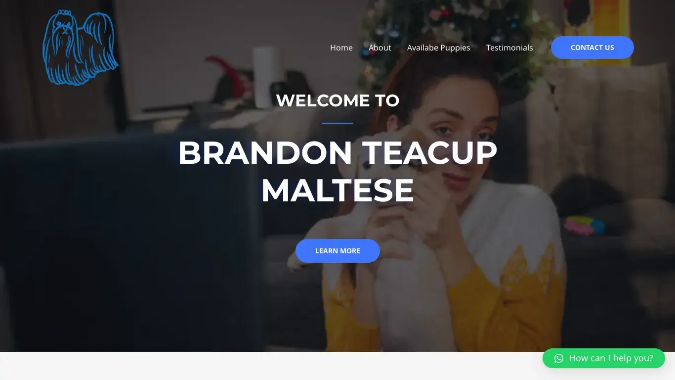 is BRANDON TEACUP MALTESE HOME – Certified Maltese Breeder legit? screenshot