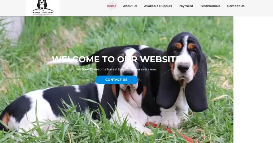 Is Breederbassethound.com legit?