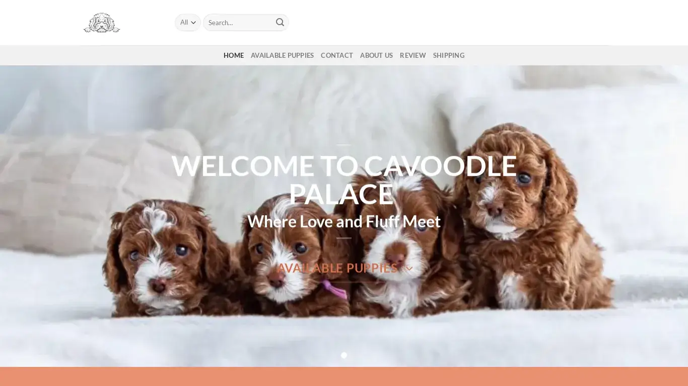 is Cavoodle For Rehoming – Adorable Cavoodle Puppies For Rehoming legit? screenshot