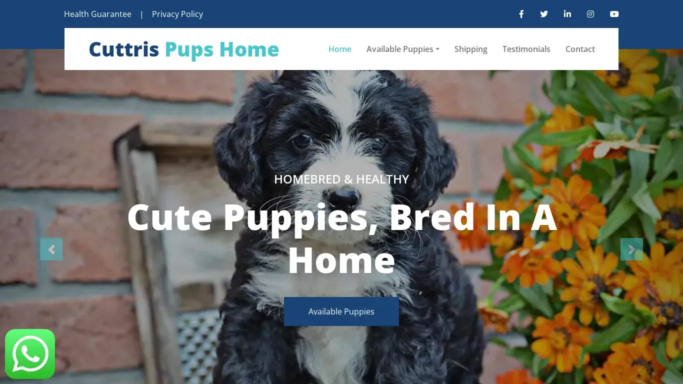 is Cuttris Pups Home - Homebred Cute Puppies For Sale legit? screenshot