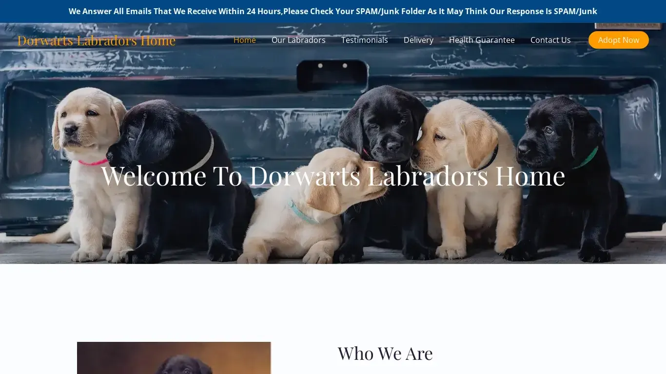 is dorwartslabradorshome.com legit? screenshot