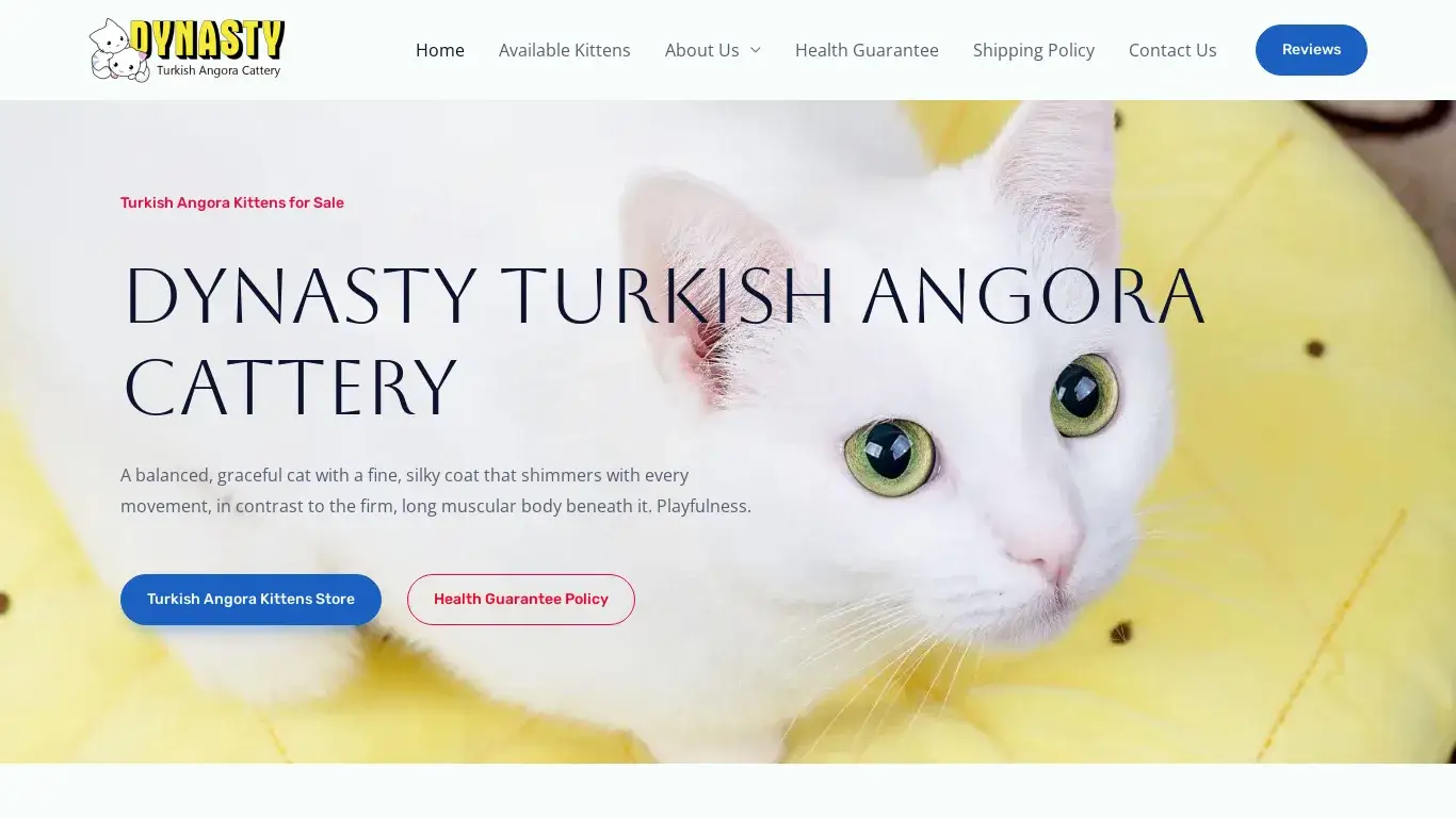 is Dynasty Turkish Angora Cattery – Find Turkish Angora kittens for sale on Dynasty Turkish Angora Cattery legit? screenshot