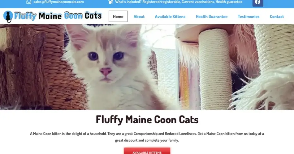 Is Fluffymainecooncats.com legit?