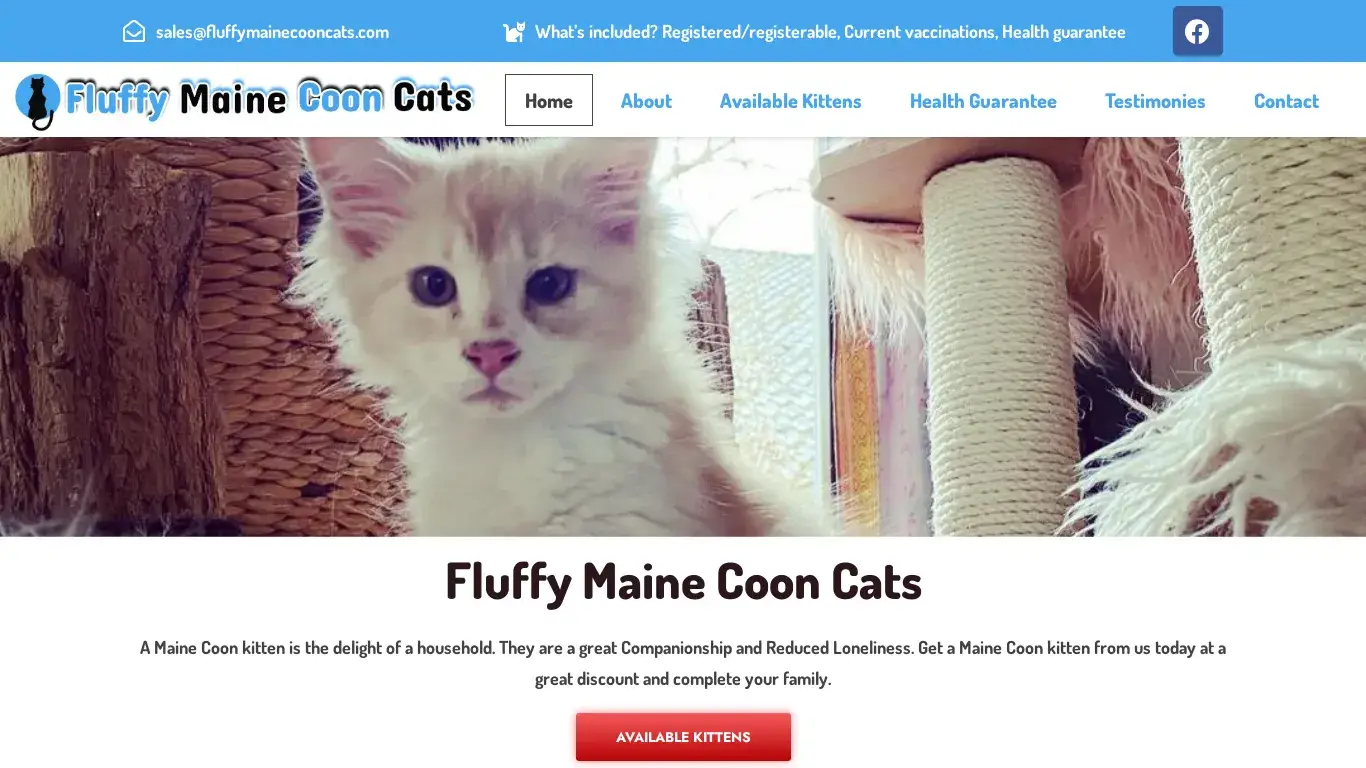is fluffymainecooncats.com legit? screenshot