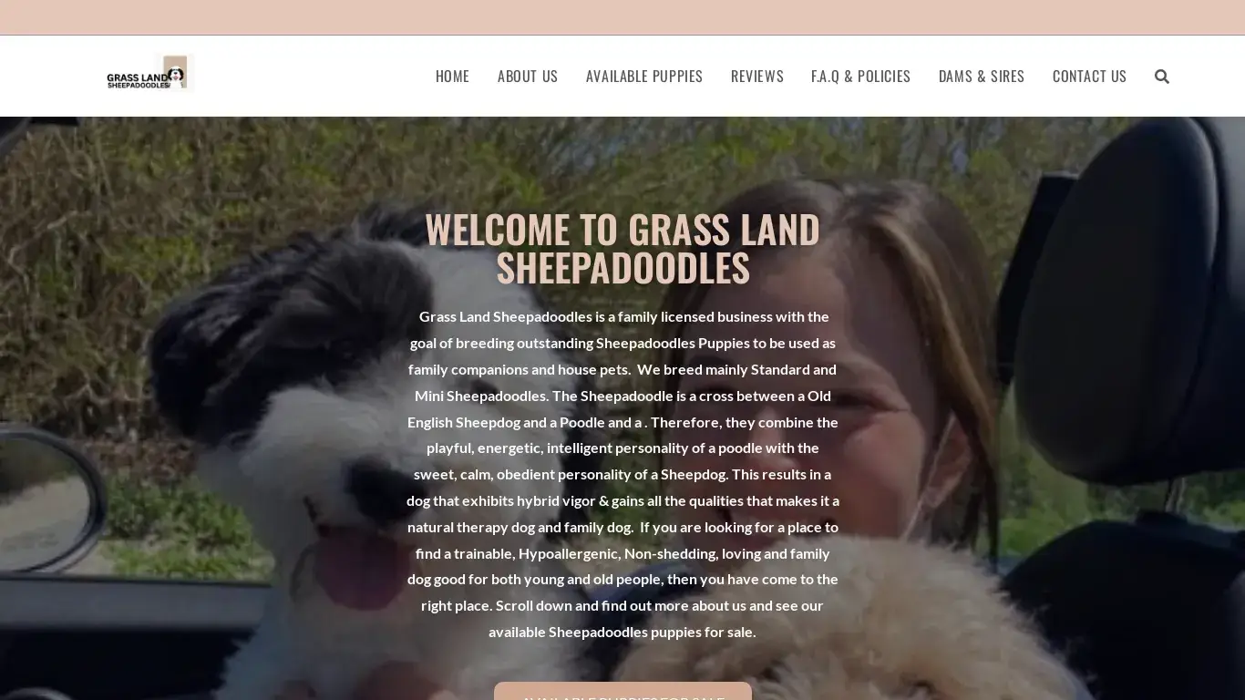 is grasslandsheepadoodles.com legit? screenshot