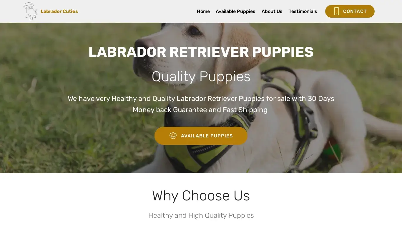 is Home of Labrador Retriever Puppies breeds for Sale - Fantastic Discount legit? screenshot