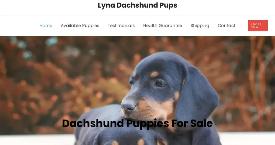 Is Lynadachshundpups.com legit?