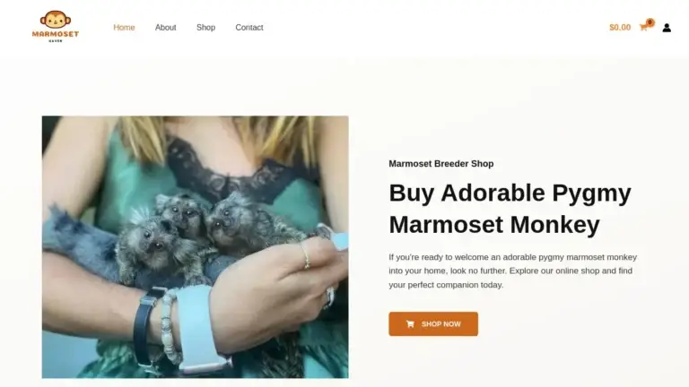 Marmosethaven.com