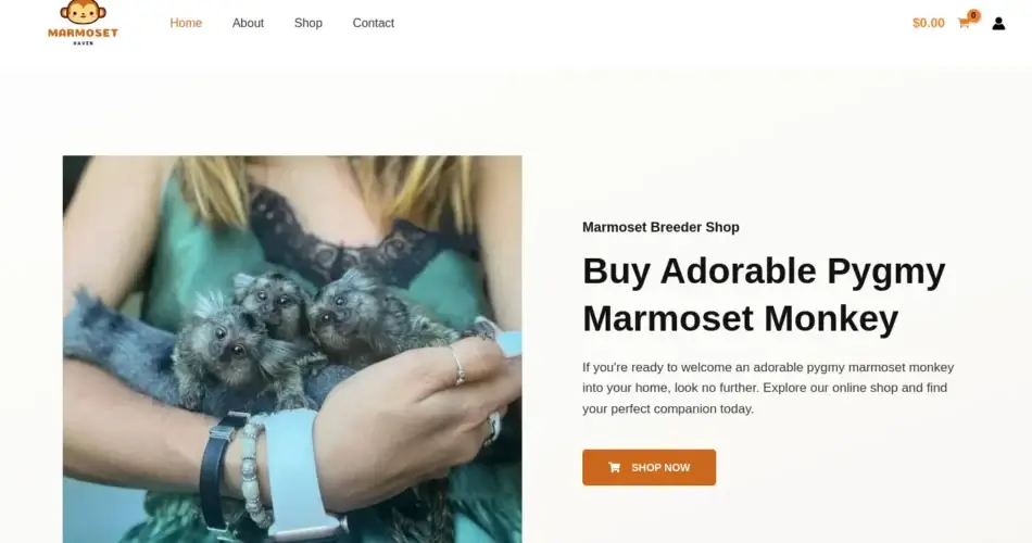 Is Marmosethaven.com legit?