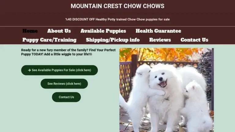 Mountaincrestchowchows.com