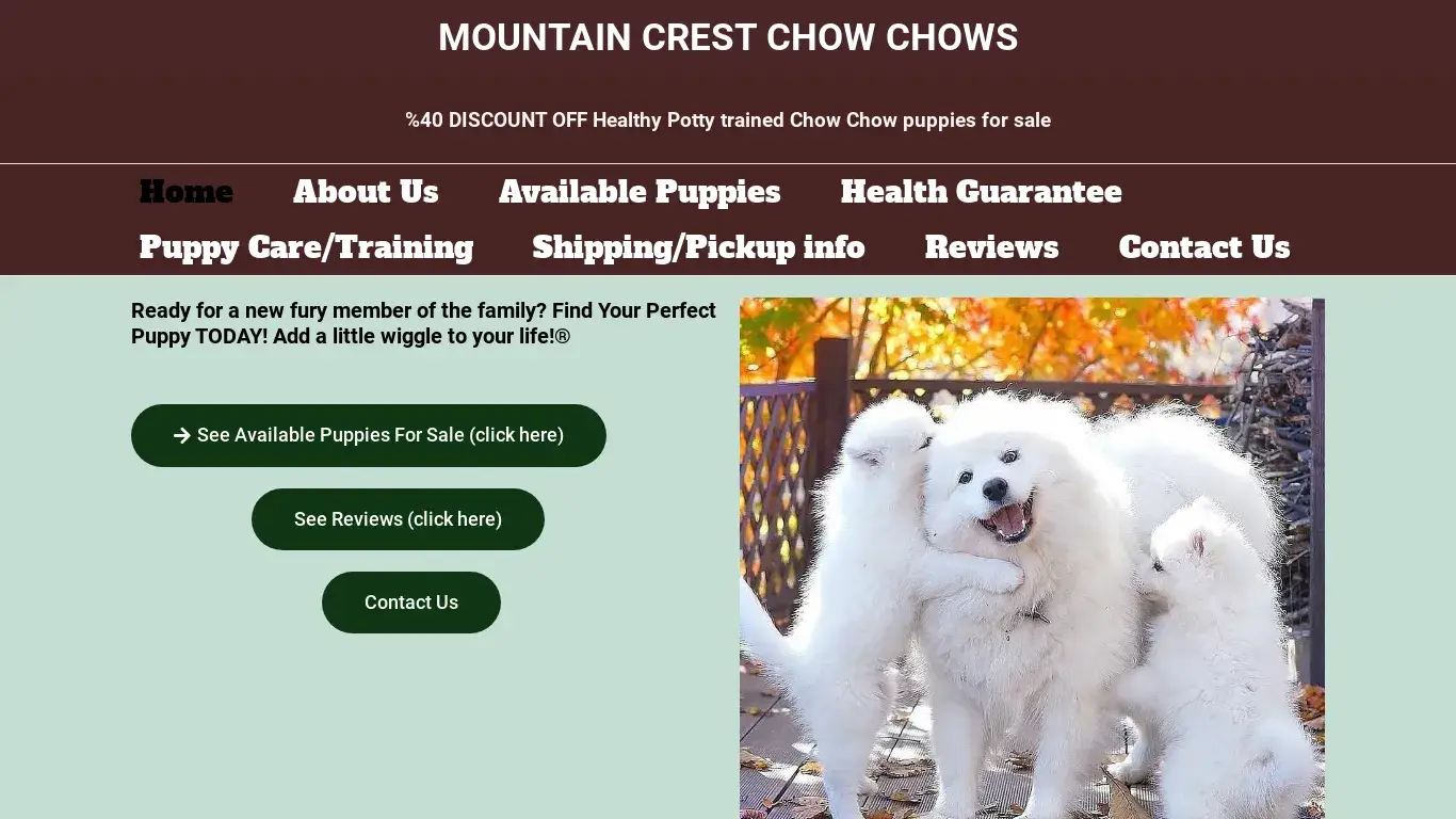 is mountaincrestchowchows.com legit? screenshot