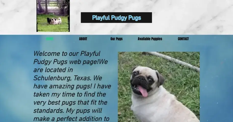 Is Playfulpuddgypugs.com legit?