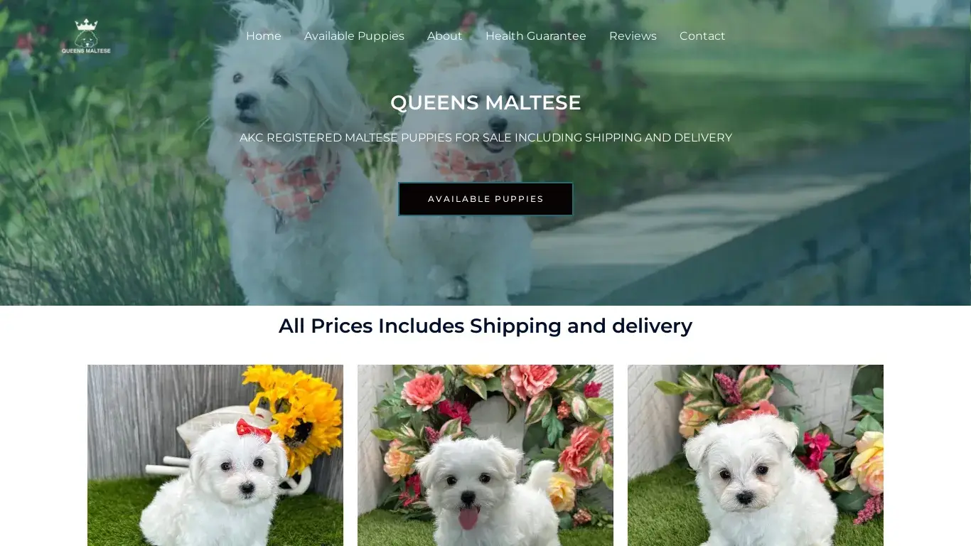 is Queens Maltese – Maltese Puppies For Sale legit? screenshot