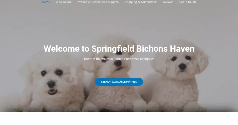 Is Springfieldbichons.com legit?
