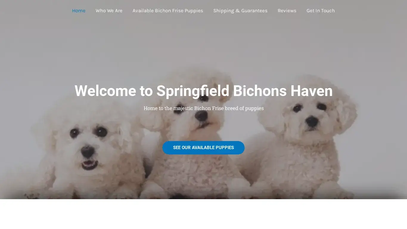 is springfieldbichons.com legit? screenshot