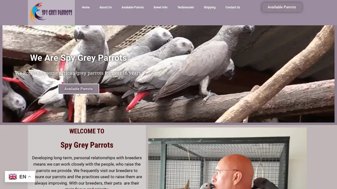 is spygreyparrots.com legit? screenshot