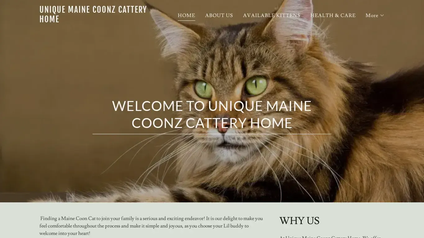 is uniquecoonzcattery.com legit? screenshot