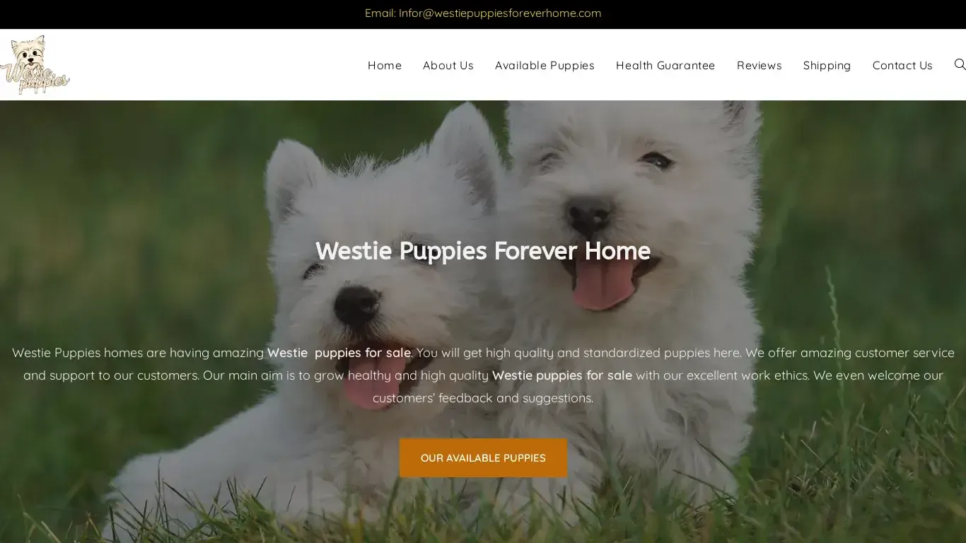 is westiepuppiesforeverhome.com legit? screenshot