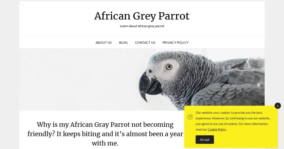Is African-grey-parrot.net legit?