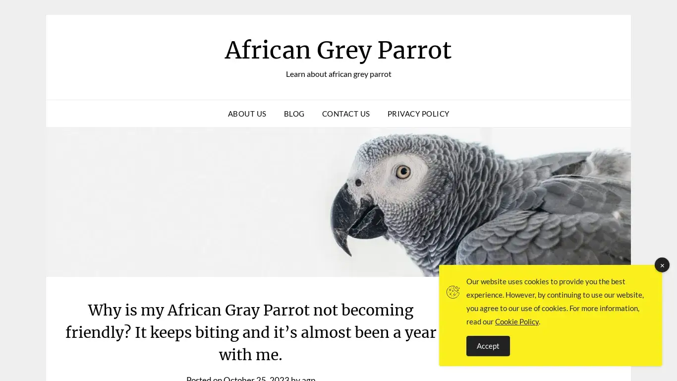 is African Grey Parrot legit? screenshot