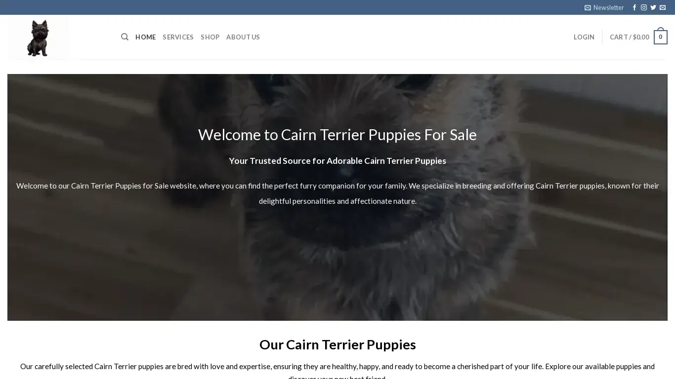 is Cairn Terrier Puppies For Sale legit? screenshot