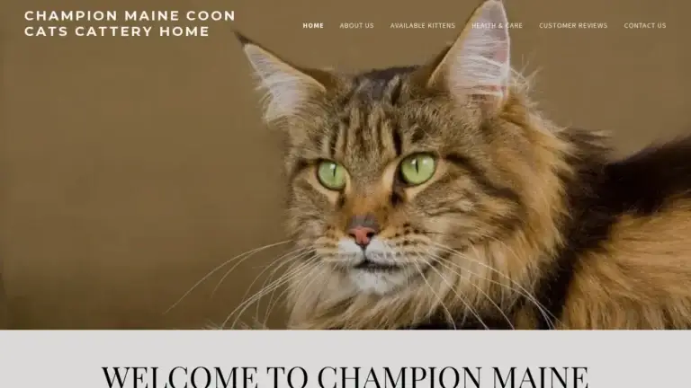Championmainecooncats.com