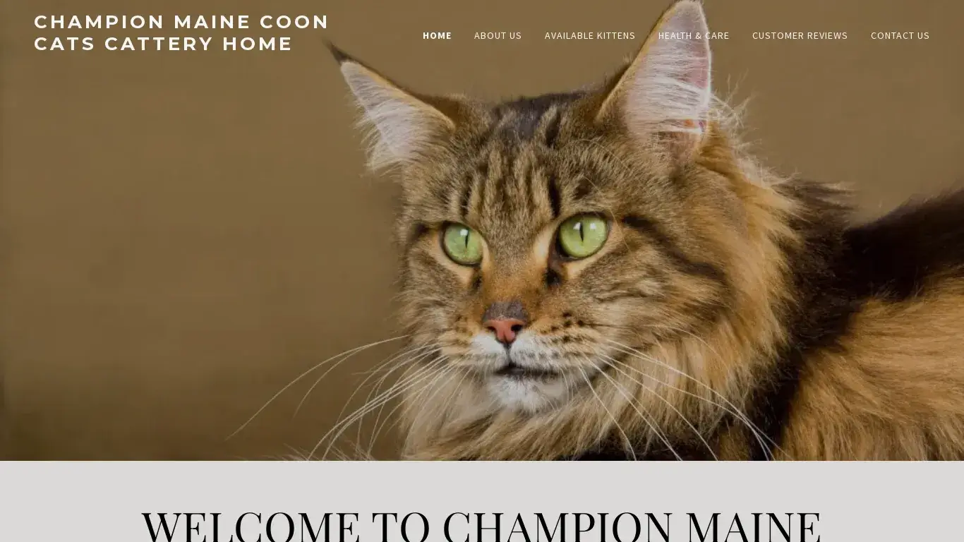 is championmainecooncats.com legit? screenshot