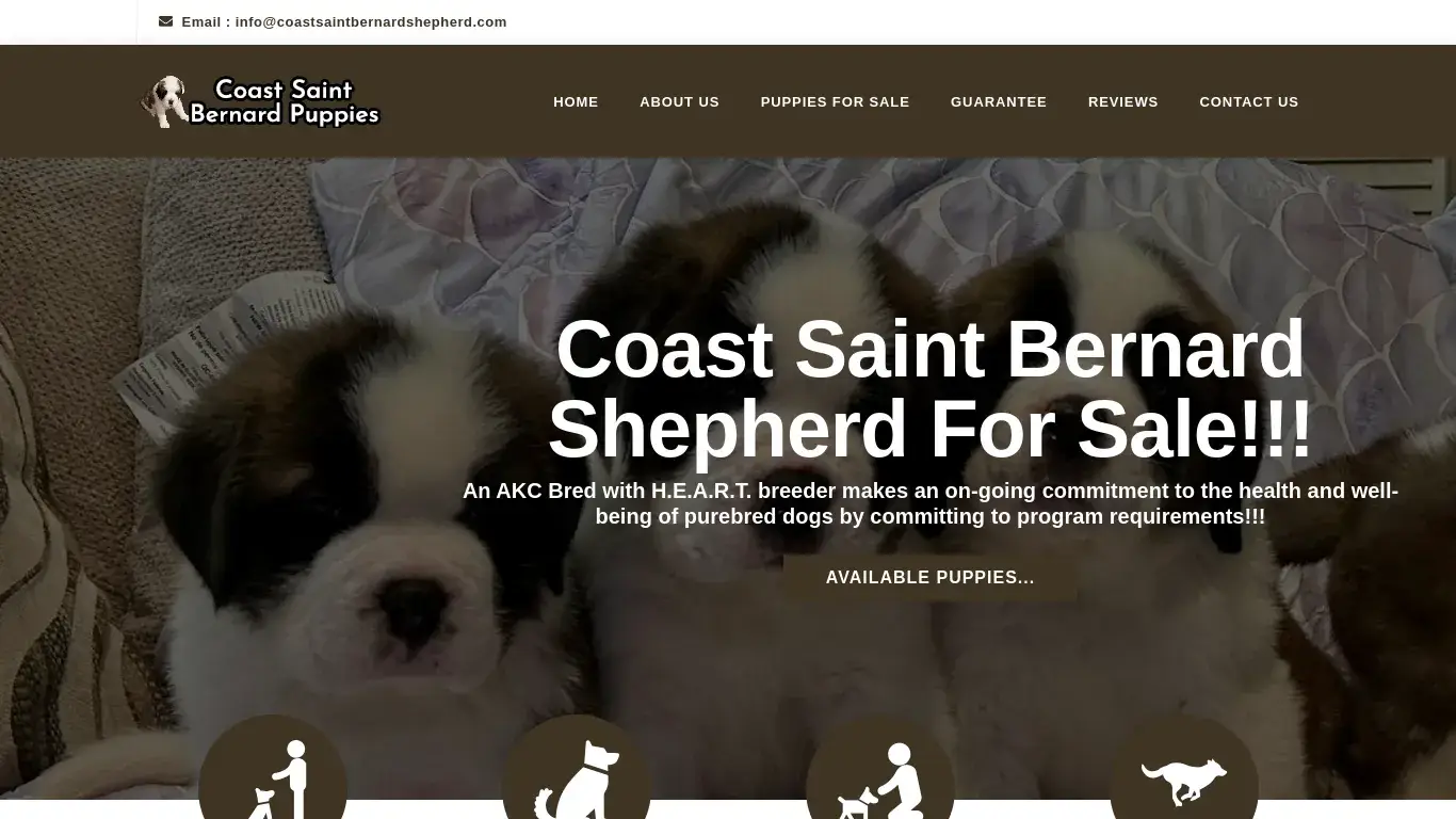 is Welcome | Healthy Saint Bernard Shepherd Puppies for sale | coastsaintbernardshepherd.com legit? screenshot