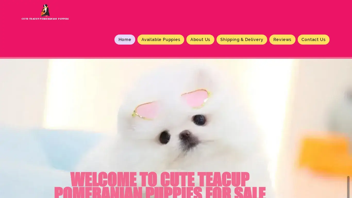 is Home | Pomeranian Puppies legit? screenshot
