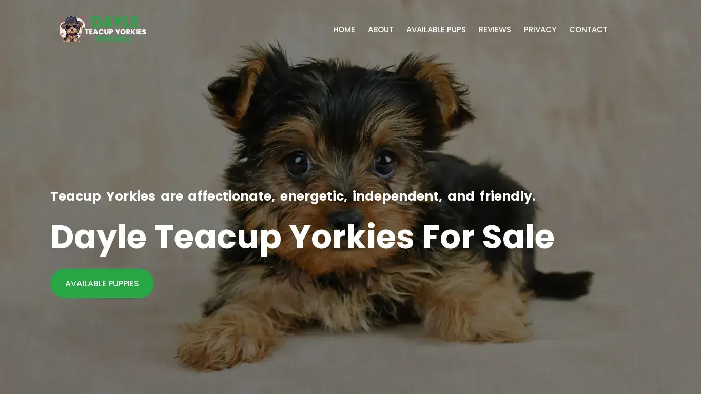 is Home – Dayle Teacup Yorkies For Sale legit? screenshot