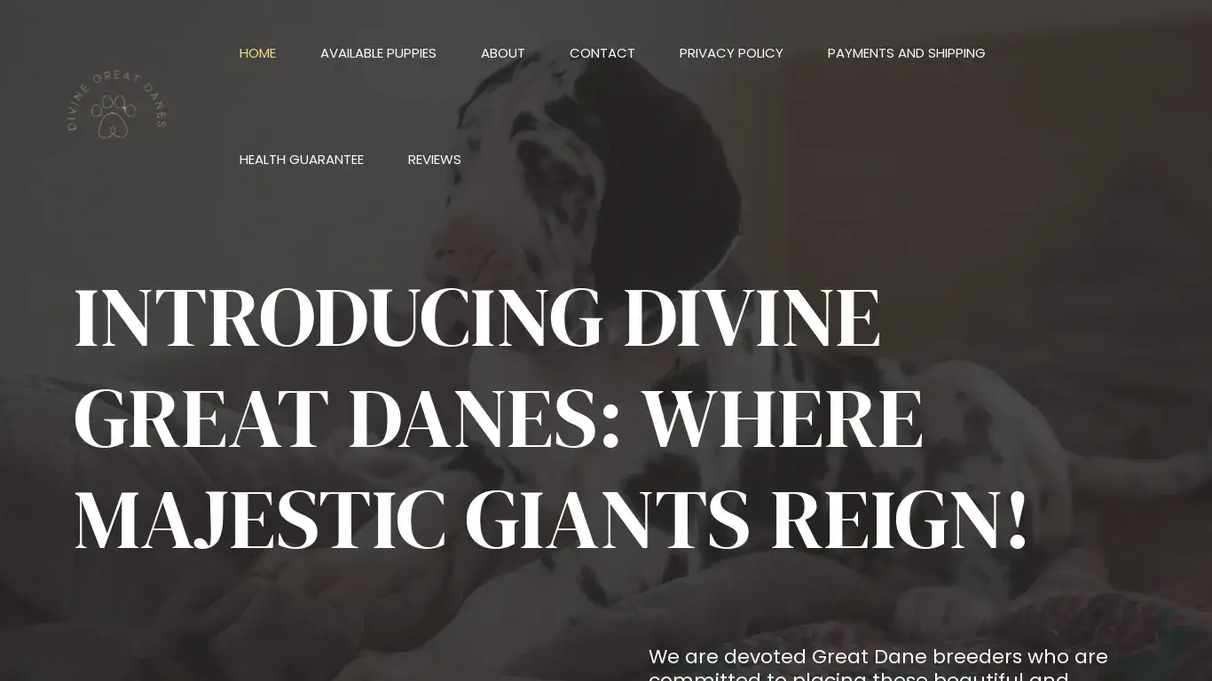 is Divine Great Danes – Divine Great Danes legit? screenshot