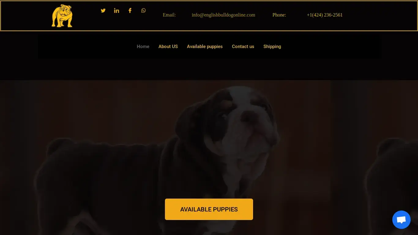is English Bulldog Puppies for Sale LA | English Bulldog Online legit? screenshot