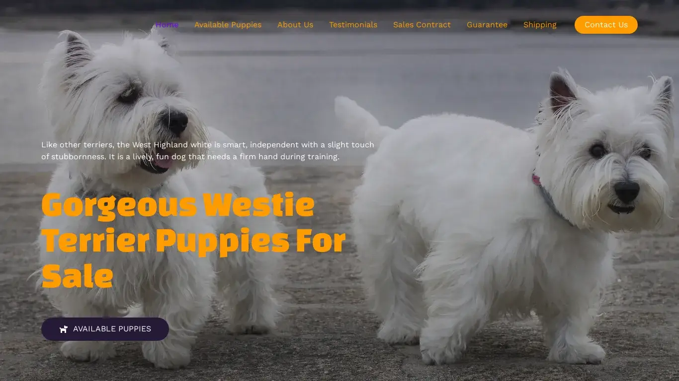 is Harley Westie Puppies – Gorgeous Westie Puppies legit? screenshot