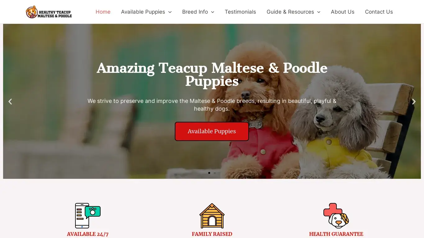 is Healthy Teacup Maltese Poodle – Home of Amazing Puppies For Sale legit? screenshot
