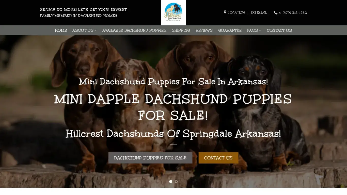 is Hillcrest Dachshunds – Hillcrest Dacshunds of Springdale Arkansas breeds Loving Miniature Dapple Dachshund Puppies for sale near me in . legit? screenshot