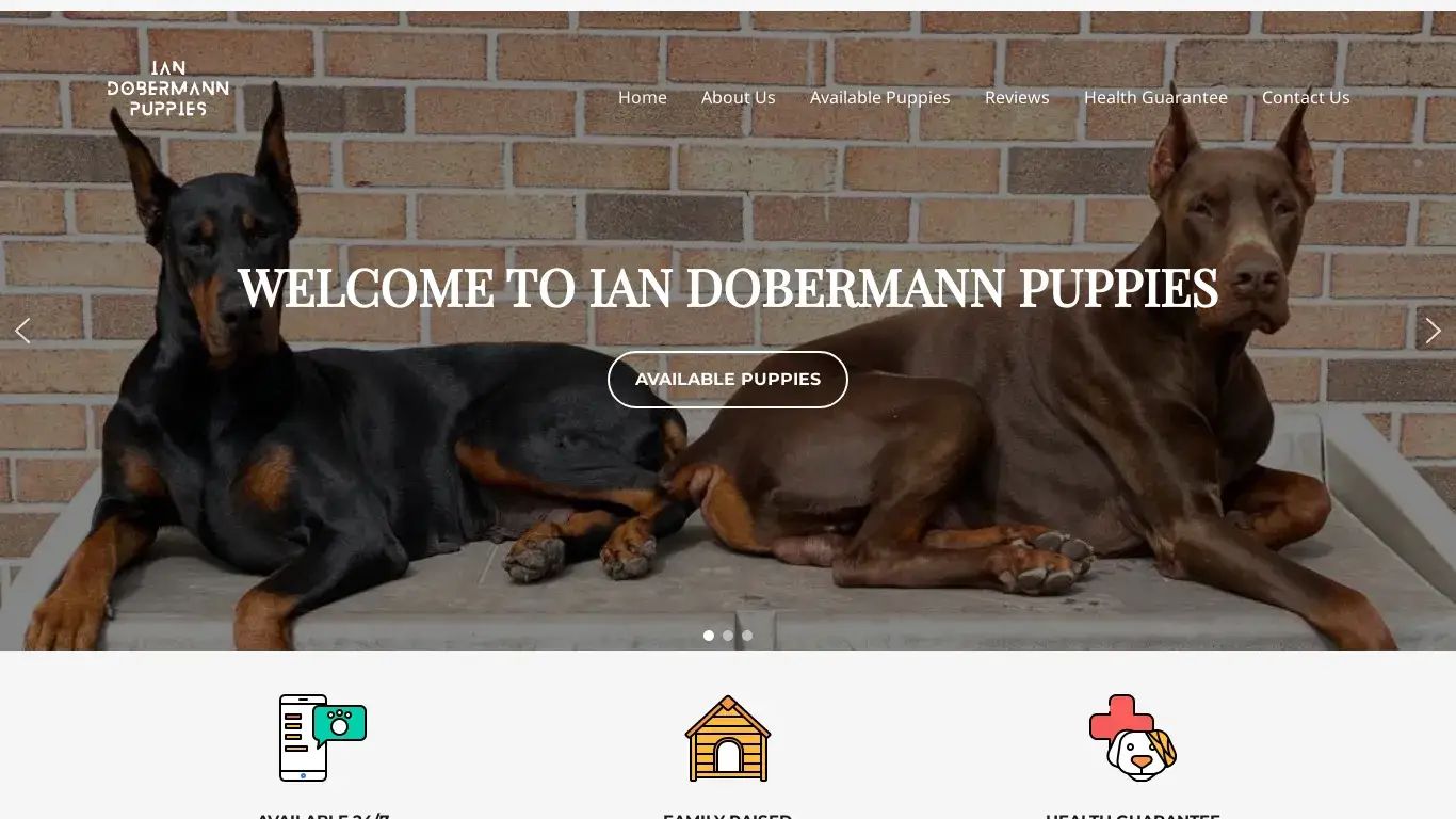 is Ian Dobermann Puppies – ian dobermann puppies legit? screenshot