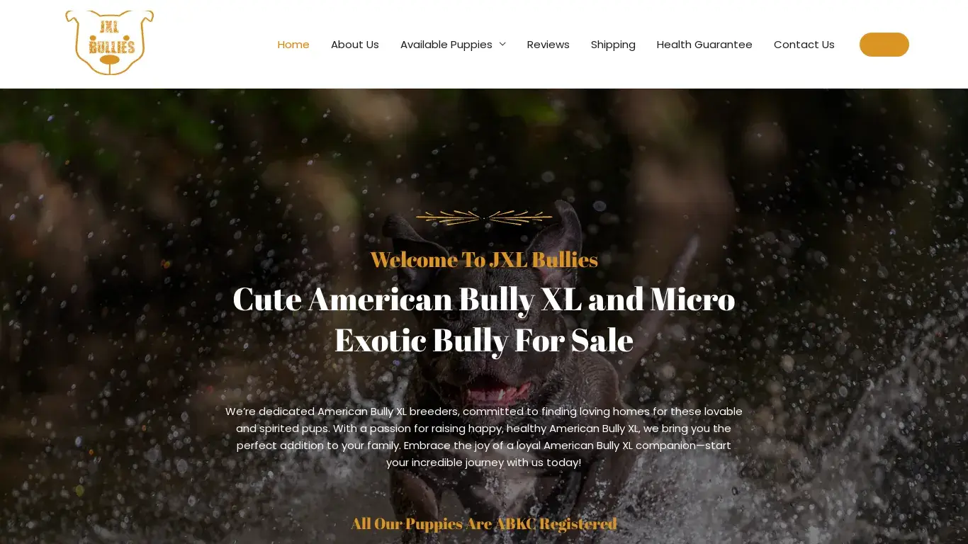is jxlbullies – XL and Micro American Bully For Sales legit? screenshot
