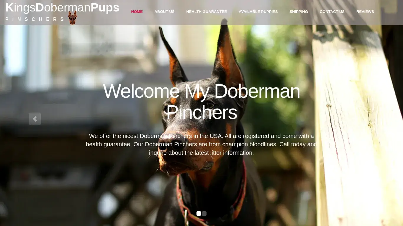 is Home | Kings Doberman Pups Home legit? screenshot