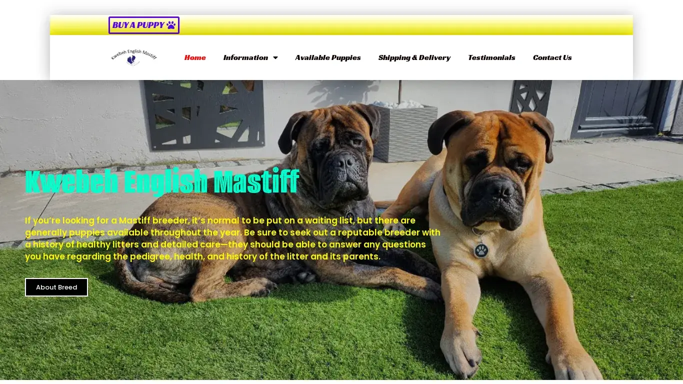 is Kwebeh English Mastiff – English Mastiff for Sale legit? screenshot