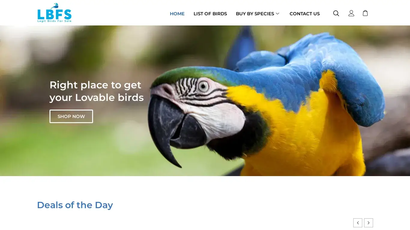 is Buy Birds and Foods Online in USA | Legit Bird Breeders legit? screenshot
